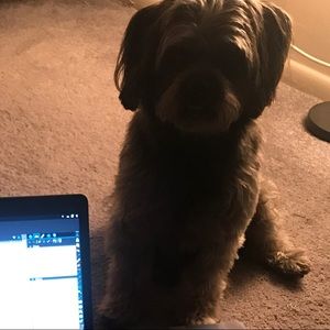 Meet your Posher, Matt